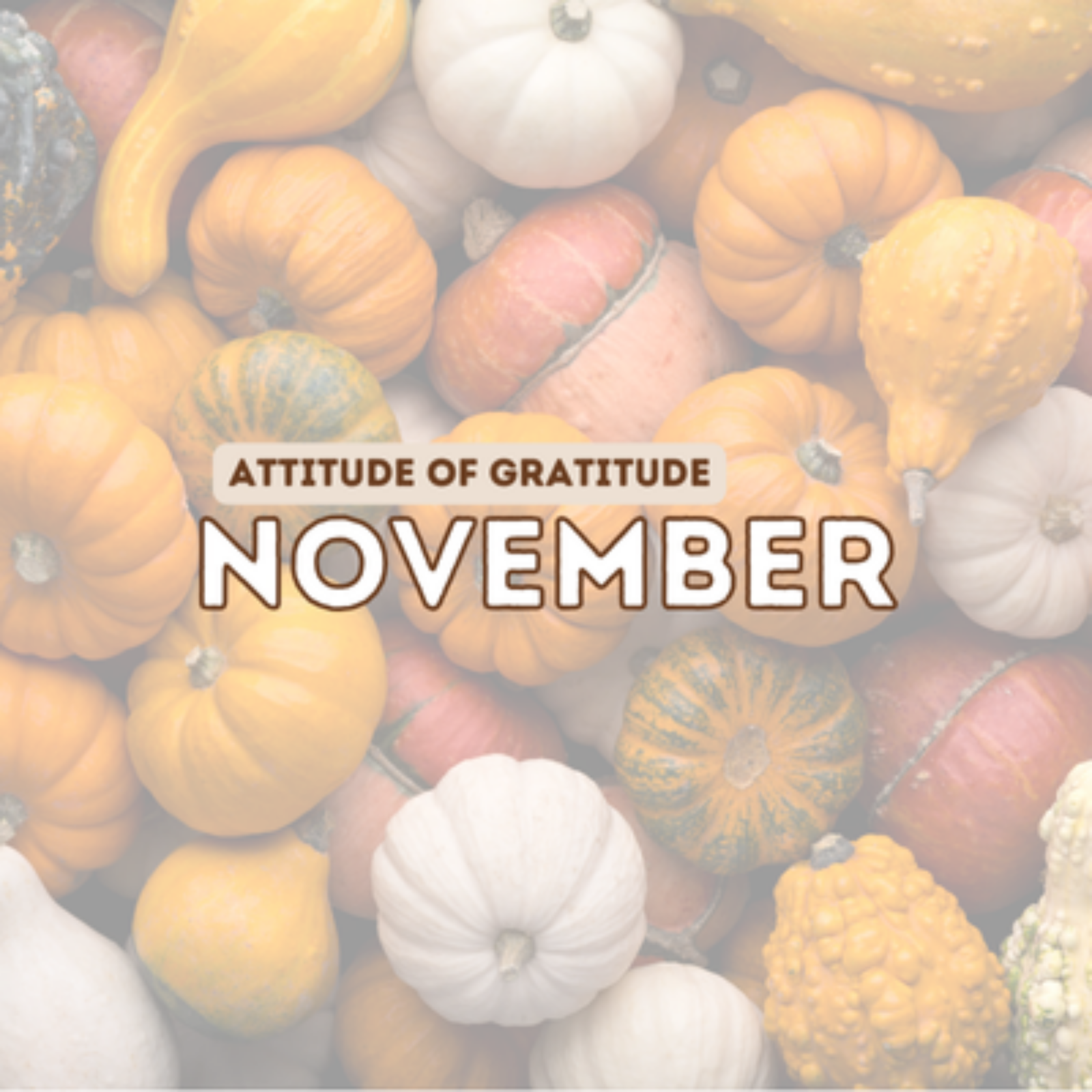 Attitude of Gratitude: November